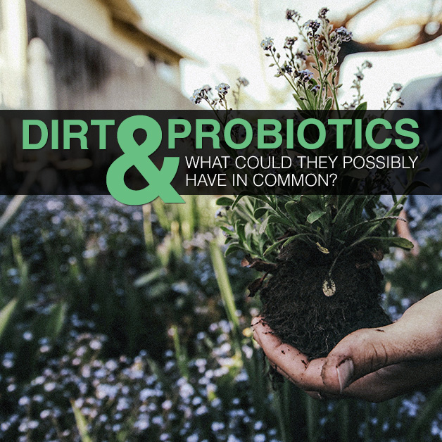 Dirt and Probiotics